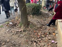 -华西村