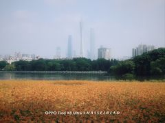 -海珠湖公园