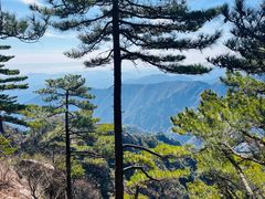 -黄山风景区