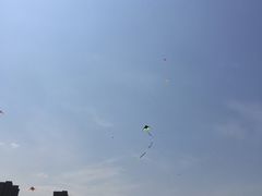 -杭州城北体育公园