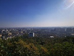 -杭州半山国家森林公园