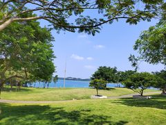 -露天矿生态公园