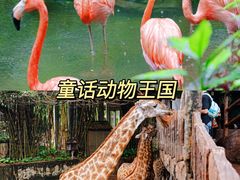 -长鹿旅游休博园