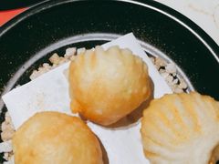 -点都德·毕德寮