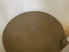 -100蛋泥浆浴