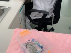 -美美宠物诊疗中心·异宠·骨科(滨江东信分院)