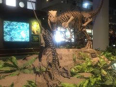 -自贡恐龙博物馆