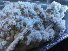 -湖南省地质博物馆