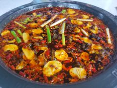 火锅鱼-费明中罗非鱼(大石坝店)