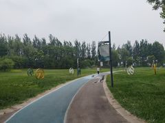 -五环公园
