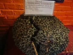 -品德宏·孔雀宴的发源地(金塔园店)