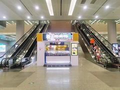 -上海浦东国际机场-T2航站楼