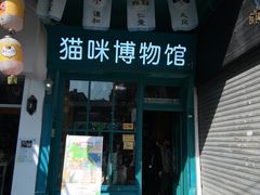 -猫咪博物馆(顶澳仔猫街店)