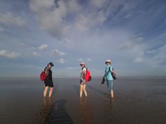 -南汇嘴观海公园