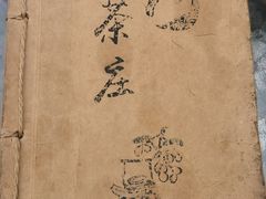-阿巧茶庄