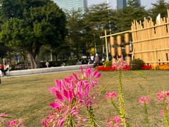 -海心沙亚运公园
