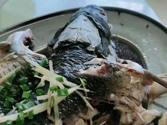 -荔枝红五号农庄