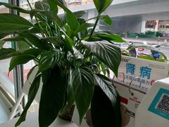 -汪喵宠物医院·骨科心脏影像·犬猫急重症ICU诊疗中心(成华分院)