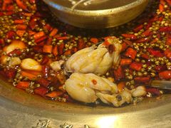 -哥老官重庆美蛙鱼头(西湖银泰十一哥店)