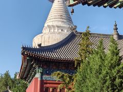 -妙应寺白塔