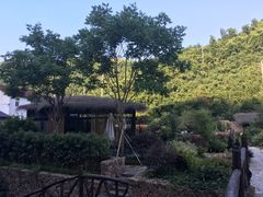 -看见远方·莫干遥远的山民宿