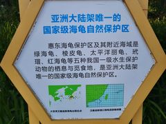 -广东惠东海龟国家级自然保护区