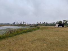 -春花秋色城市公园