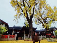 -惠山古镇·寄畅园