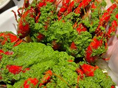 -龙巢盱眙龙虾·牛蛙·烧烤宵夜(八卦岭店)