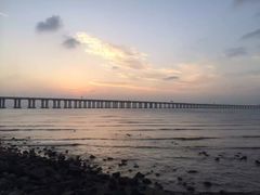 -宝安西湾红树林湿地公园