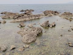 -养马岛旅游度假区