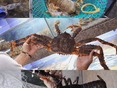 -达叔香味海鲜(海棠68环球美食街店)
