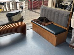 -伟伟宠物医院·瑞派猫友好医院·猫科(光谷店)