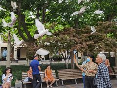 -西湖外事游船(湖滨二公园外事游船码头)