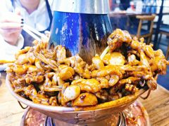 -老佛爷蛙锅•鲜蛙煲(麦凯乐店)