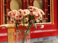 -西安市广仁寺