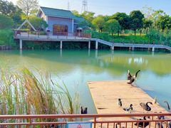 -王借岗森林公园