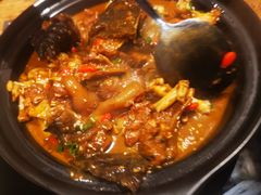 甲鱼牛蛙锅-洪湘记川湘·甲鱼馆(四海凯悦美食广场店)