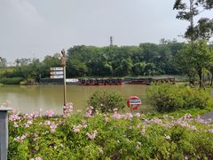-江门古劳水乡旅游区