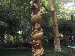 -杭州黄龙洞