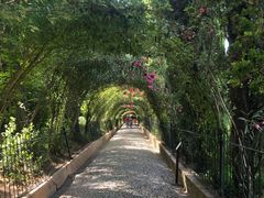 -阿尔罕布拉宫