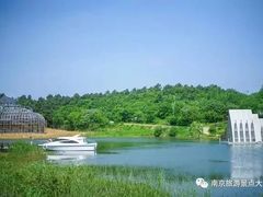 -大塘金香草谷