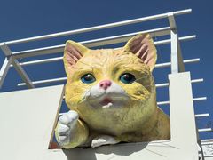 -何适山庄 ·可团建(水长城P2停车场店)