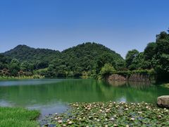 -桃花岭景区