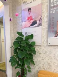 点击看大图 -Cocodemer女性健康·产后恢复(天一广场店)