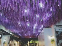 -奈雪的茶(大梅沙8号仓店)