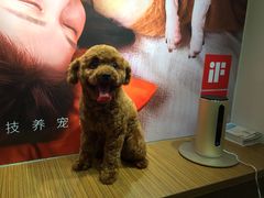 -PETKIT小佩宠物(古北店)