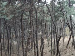 -红螺寺