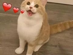 -水一方现烤鱿鱼丝大连特产(华南亿合城店)