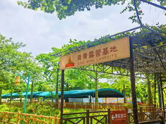 -盈香心动乐园